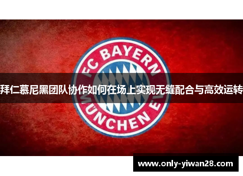 拜仁慕尼黑团队协作如何在场上实现无缝配合与高效运转