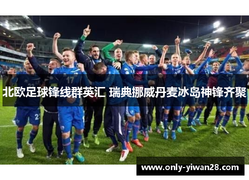 北欧足球锋线群英汇 瑞典挪威丹麦冰岛神锋齐聚