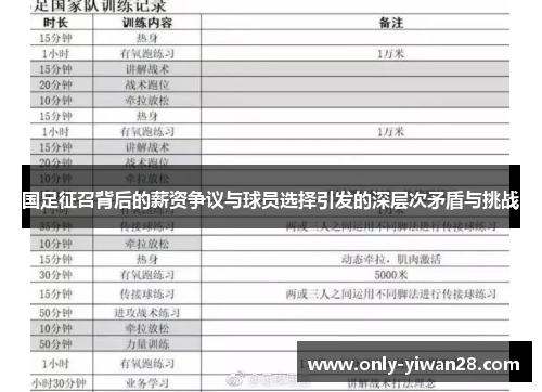 国足征召背后的薪资争议与球员选择引发的深层次矛盾与挑战