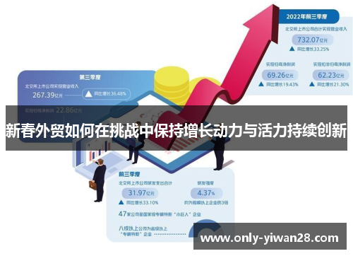 新春外贸如何在挑战中保持增长动力与活力持续创新