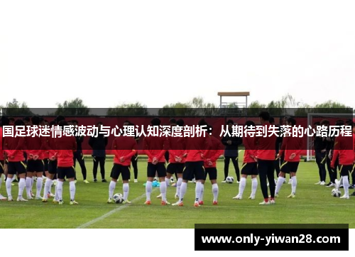 国足球迷情感波动与心理认知深度剖析：从期待到失落的心路历程