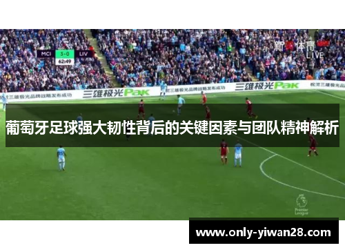 葡萄牙足球强大韧性背后的关键因素与团队精神解析