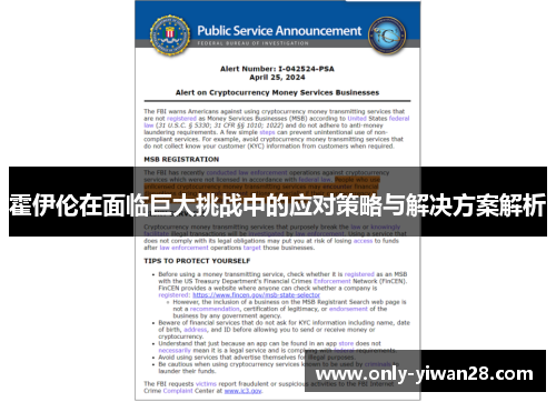 霍伊伦在面临巨大挑战中的应对策略与解决方案解析