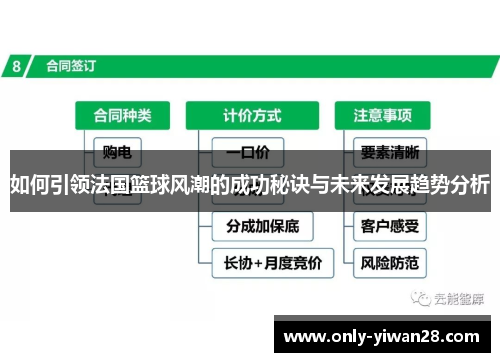 如何引领法国篮球风潮的成功秘诀与未来发展趋势分析