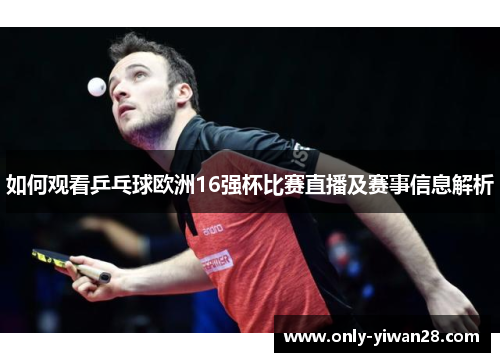 如何观看乒乓球欧洲16强杯比赛直播及赛事信息解析